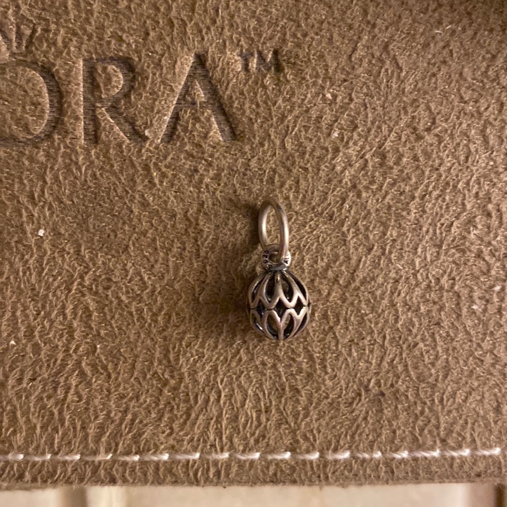 Pandora Charm
